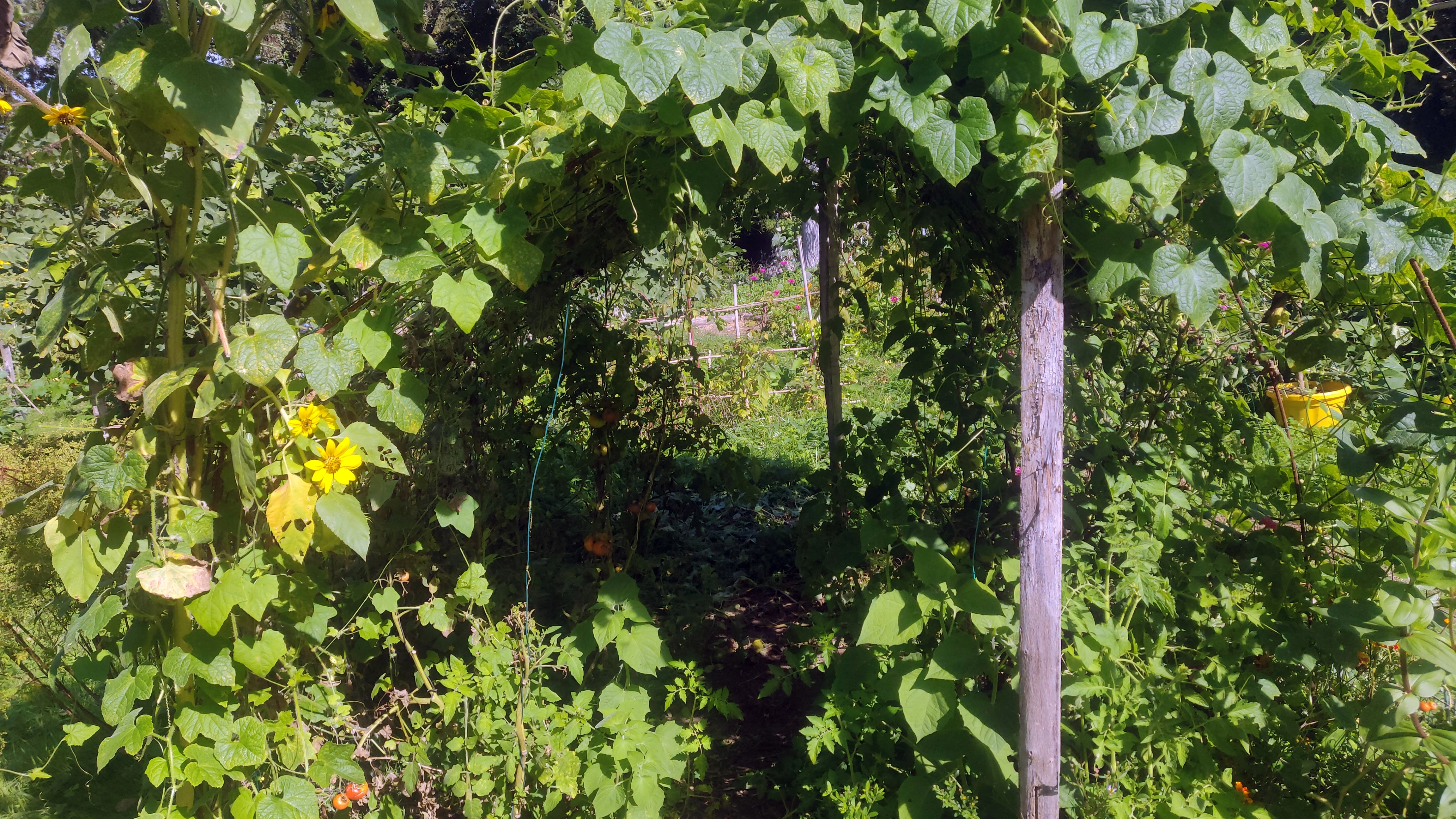 Culture sur structure