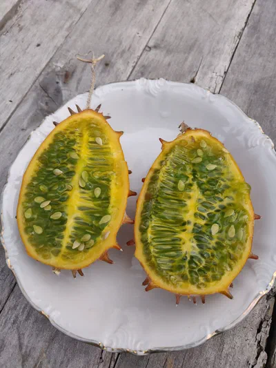 03.kiwano.jpg