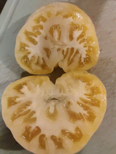 09.tomate ananas.jpg