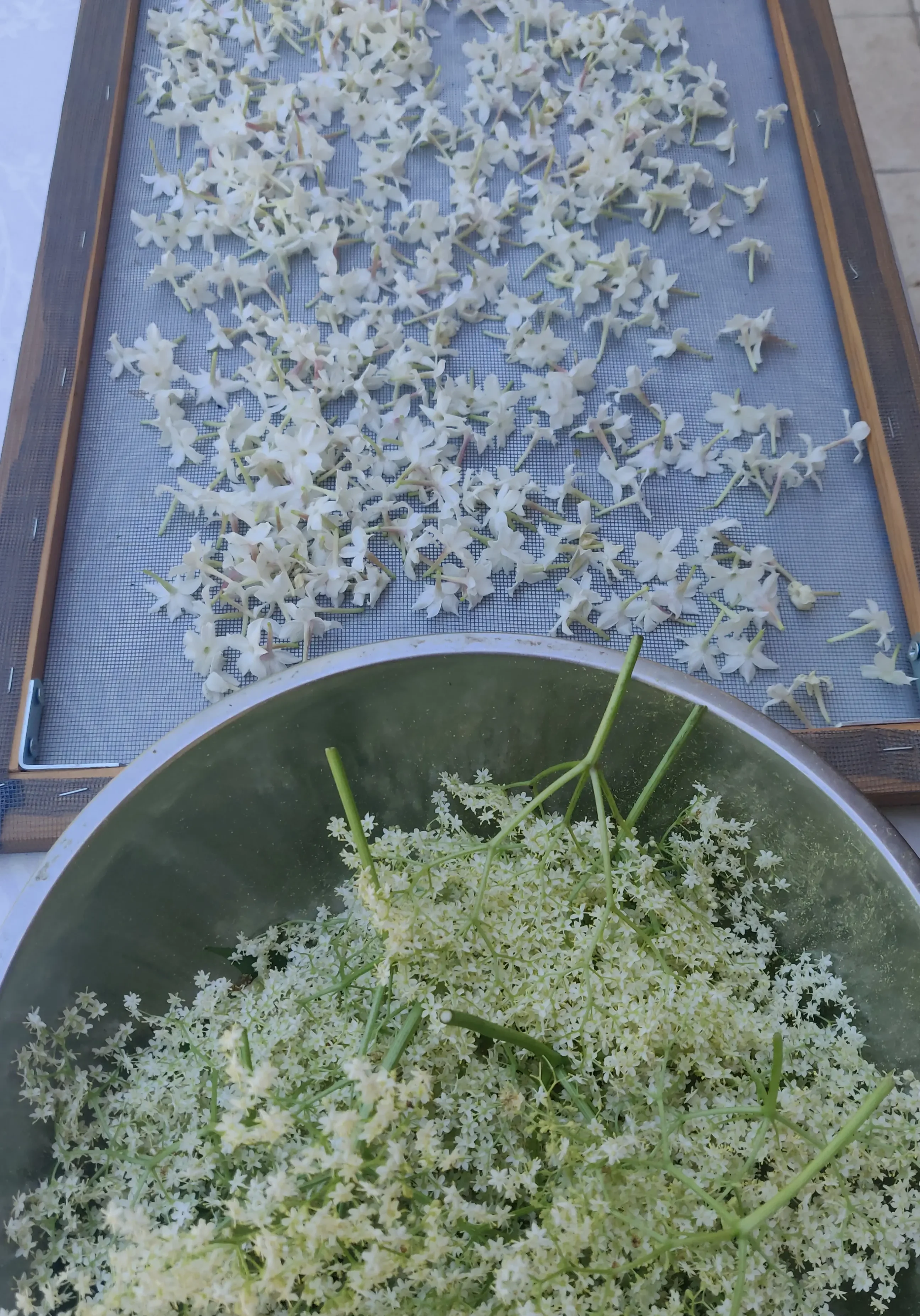 fleurs_1_séchage
