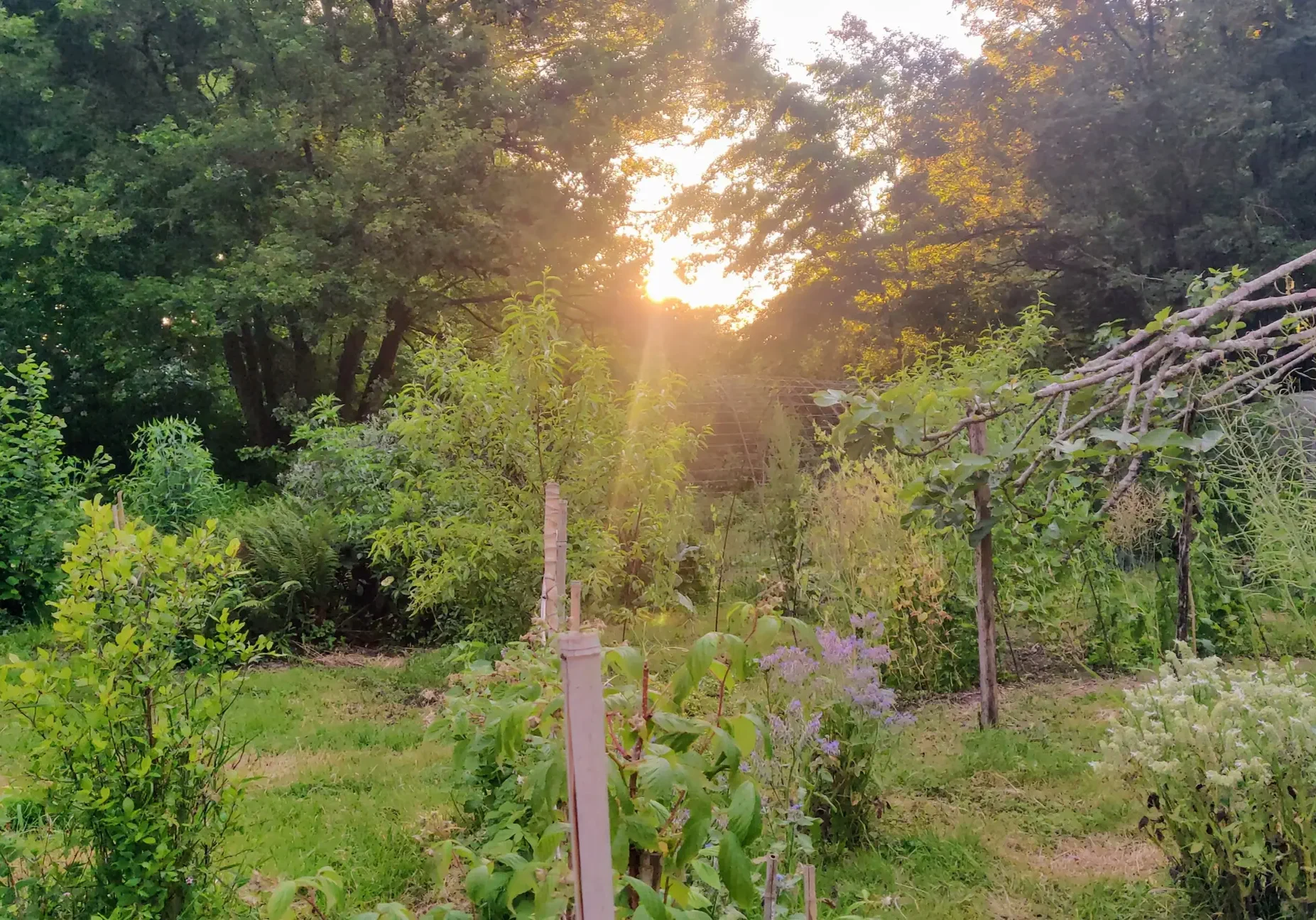 jardin1